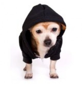 American Apparel Flex Fleece Dog Zip Hoodie